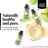 Tender Coconut Water: A Wonder Drink for Weight Loss