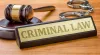 Fighting for Justice: Miami's Legal Heroes Supporting Immigrant Rights