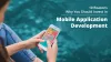 10 Reasons Why You Should Invest In Mobile App Development