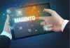 Magento Support and Maintenance Services