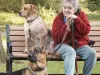 AMD Senior Pure Care, Home Care Services Near Me Souderton PA