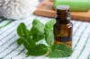 Peppermint Oil Wholesale Supplier