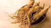 Top six health benefits of ginseng tea