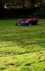 Lawn Care - John Disuza - Wattpad