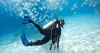 Scuba Diving Package for Beginners in Havelock