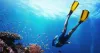 Scuba Diving Activities in Port Blair