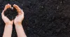 Buy Vermicompost Online | Vermicompost – Organic Fertilizer in India: Shree Raj Aggro
