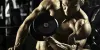 Yohimbine  + Fat Burner + Weight loss + Green tea + Grape seed - VitaminHaat