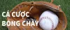 Hãy khám phá thế giới tỷ số bóng chày sôi động trên trang web cá cược Fun88.
