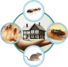 Pest Control Services in Chennai, Mosquito Netlon dealers, Safety Nets manufacturers in chennai, Sun Control Film suppliers in chennai