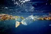 Reasons you should switch to Biodegradable Disposables | EcowareIndia