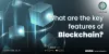 Features of Blockchains platforms in crypto | CoinTrade