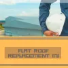 Commercial Roofing Service — Professional Flat Roof Replacement Service in MI