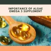 Medicinal Service — Importance of Algae Omega 3 Supplement