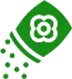 Explore Plantpik to know everything about various indoor plants