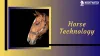 Horse Technology - ImgPile