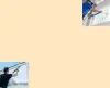 Window Cleaning Companies Scottsdale