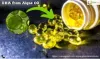 DHA from Algae Oil - ImgPile
