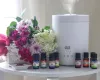 Guru Nanda Halo XL - Cool Mist Humidifier &amp; Essential Oil Diffuser