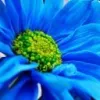 minhvannb891 - Wattpad