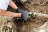 Sewer Line Replacement Near Me Loganville GA