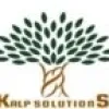 Looking for Professional SEO Services in India