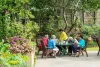 AQ Aged Care Residences - Alzheimer's Queensland