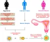 IVF With Egg Donor - Get Egg Donor IVF Treatment in Delhi, India