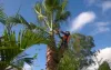 Approach Professionals for Gardening Purposes