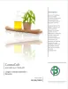 how to start a cannabis business