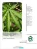 Get inspired with our free cannabis business plan sample Canada. Our most popular business plan samples include: cultivation, dispensary, extraction,