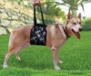 Lift Harnesses for Big Dogs