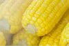 Grain Testing - Testing Lab / Alfa Chemistry