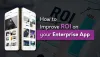 How to Improve ROI on your Enterprise App