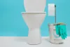 Easy To Clean And Maintain Your Toilet 