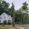Perfect Tree and Gardening Services in Ohio