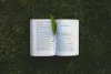 How to Write Successful Ignou MTTM Dissertation - krismartin12’s diary
