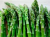 Fresh asparagus suppliers in Mexico location