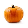 Buy Summer and Winter Squash from Organic Squash Suppliers in Mexico  - Pampa Store Online
