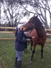 Equine Therapy in Victoria | What We Do