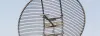 Grid Parabolic Antenna Manufacturer| antennaexperts.co