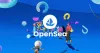 OpenSea Sẽ Không Hỗ Trợ NFTs Được Đúc Trên Binance Smart Chain