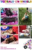 Virginia Mini Pigs for Sale - How to Adopt Steps - Squealsonwheels - Wattpad