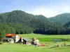 Holiday Package For Shimla