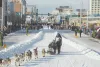 Best Places to Visit in Alaska And Tips To Enjoy Vacations