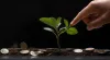 The Dynamic Landscape of Investment Banking Market - Research News Today
