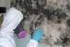 Professional Mold Removal Service