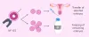How Long Can Embryos Be Safely Frozen and Stored?