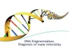 dna fragmentation in delhi