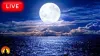 AromatherapyReviews4You